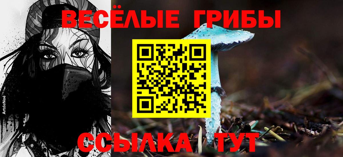 Псилоцибиновые грибы GOLDEN TEACHER Балаково